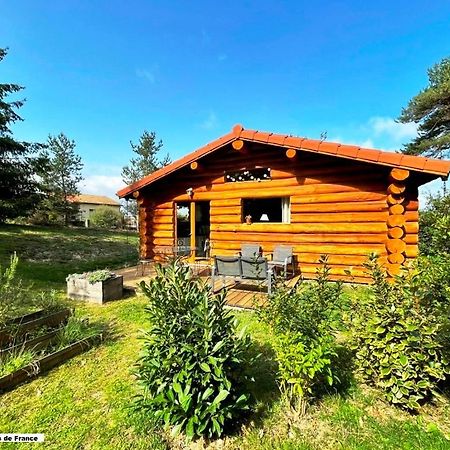 Pialous:Chalet En Rondins Avec Espace Detente La Chapelle-d'Aurec エクステリア 写真