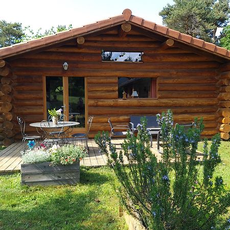 Pialous:Chalet En Rondins Avec Espace Detente La Chapelle-d'Aurec エクステリア 写真