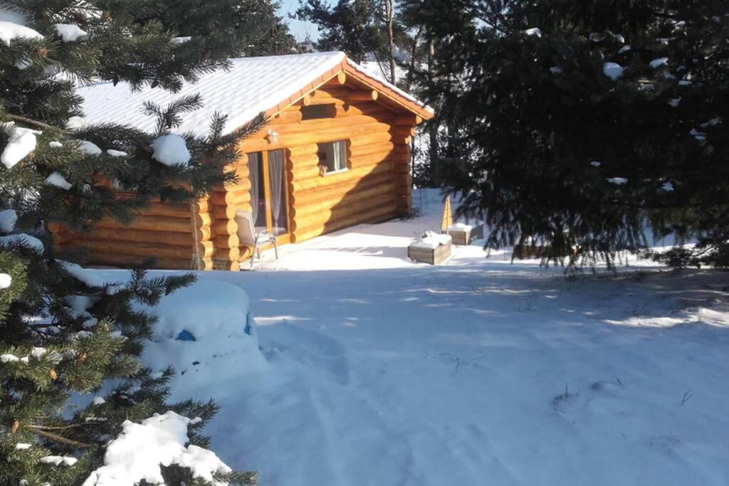 Pialous:Chalet En Rondins Avec Espace Detente La Chapelle-d'Aurec エクステリア 写真