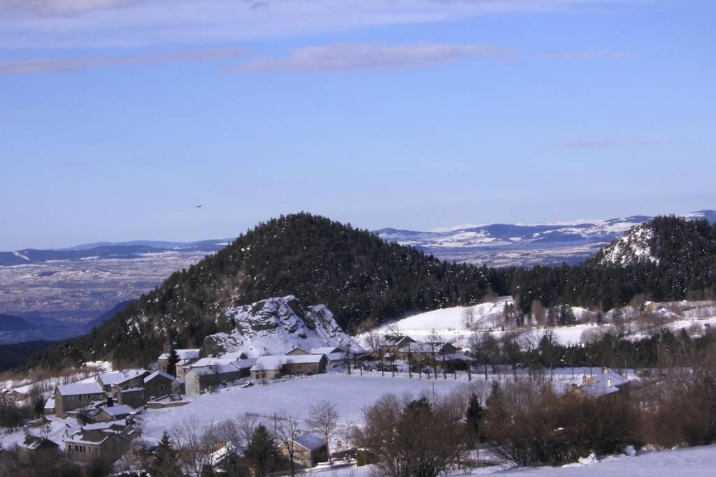 Pialous:Chalet En Rondins Avec Espace Detente La Chapelle-d'Aurec エクステリア 写真